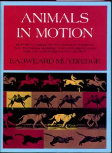 MUYBRIDGE: Animals in Motion