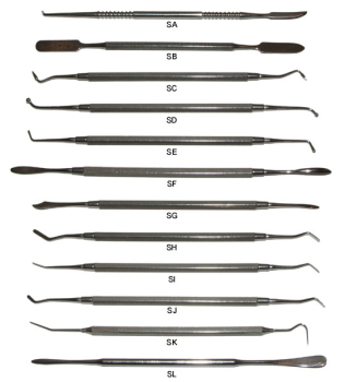 Stainless Steel Dental Tools - Set of 12 in Box