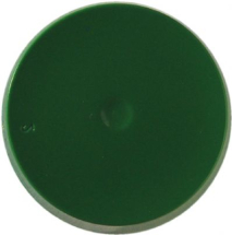 Polyester Pigment: Green 100g